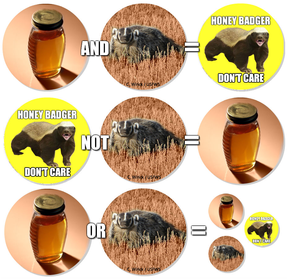 Boolean Honey Badger
